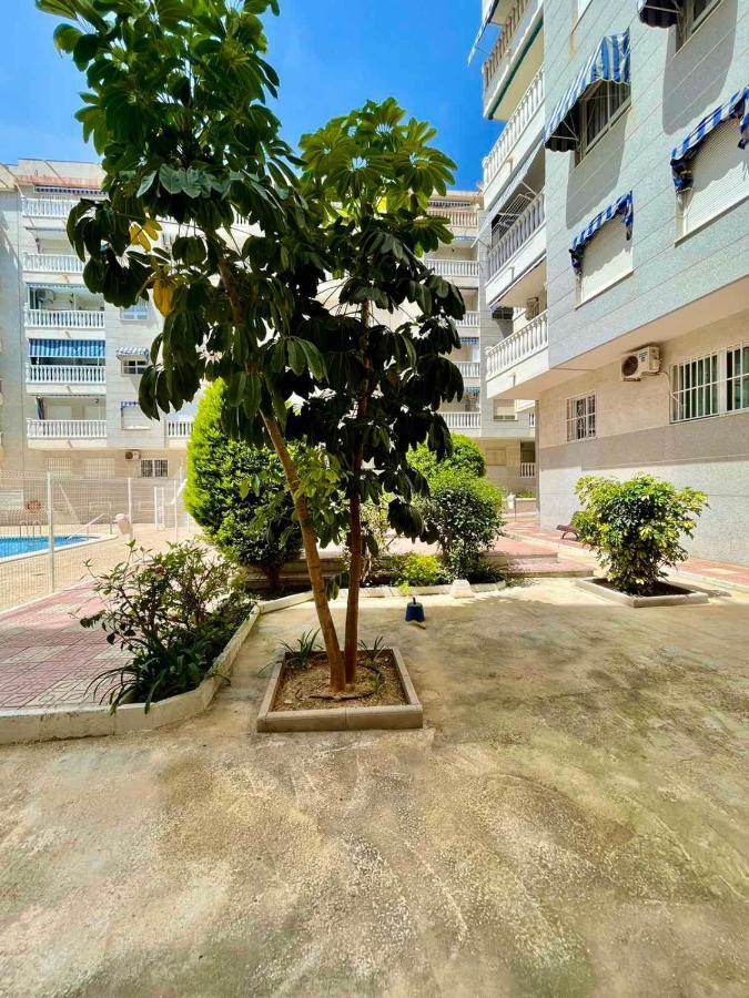 Torrevieja Comfortable Apartment Eksteriør billede